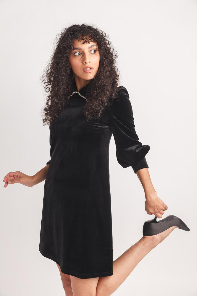 Papillon Velvet Collared Dress Black